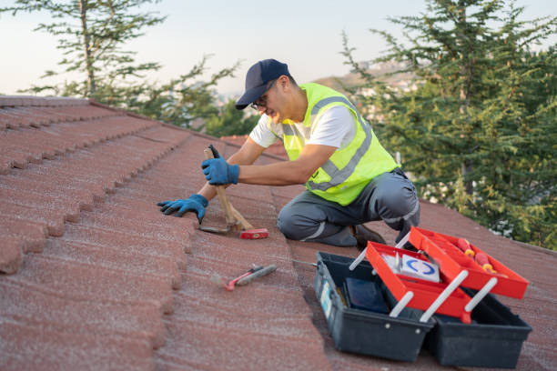 Roof Gutter Cleaning in Rosemont, IL